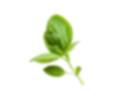 footer-element-img